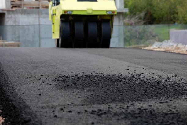 Best Professional Driveway Pavers  in North Brooksville, FL